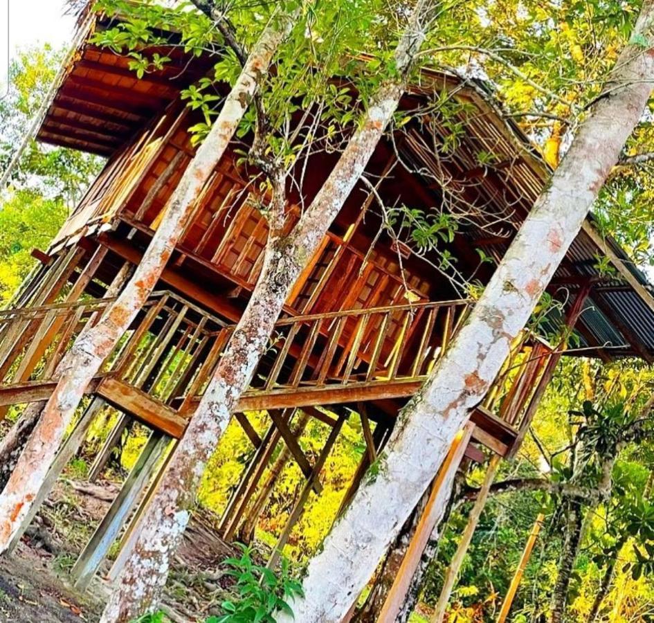 Hotel Karupa Amazonas Leticia Exterior foto